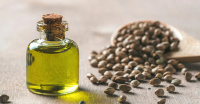 Flacon d’huile de chanvre visage avec graines sur fond en bois – soin naturel pour le visage, riche en oméga et apaisant pour les peaux sensibles