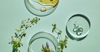 Ingrédients naturels illustrant chaque étape skincare : miel, fleurs, gel et crème dans coupelles en verre